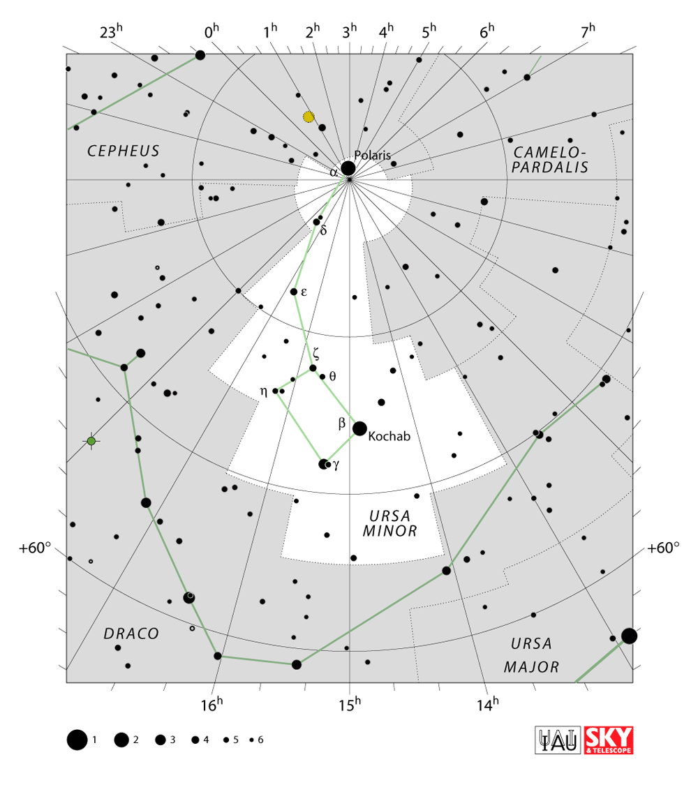 Carte IAU de Petite Ourse : limites, étoiles et tracés
