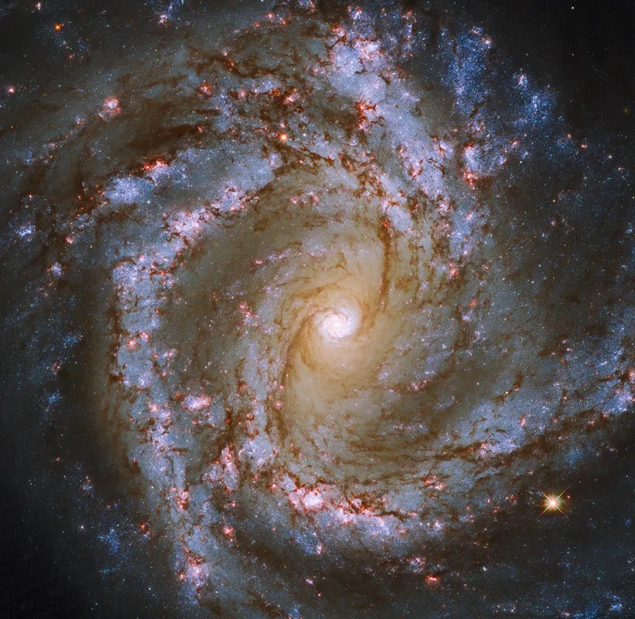NGC 4303