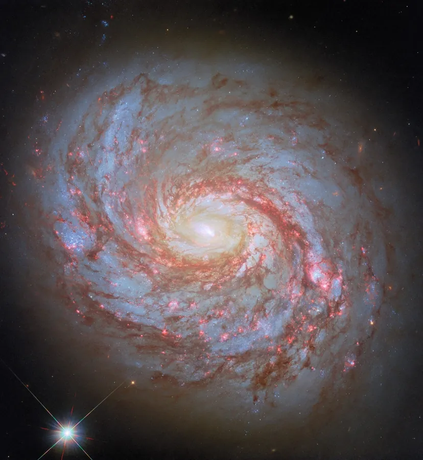 NGC 1068